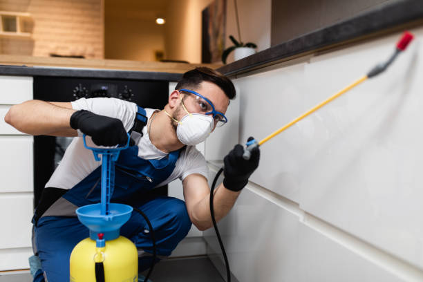 Best Affordable Exterminators  in Isanti, MN