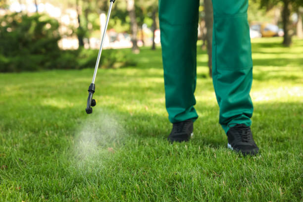 Best Pest Prevention Services  in Isanti, MN