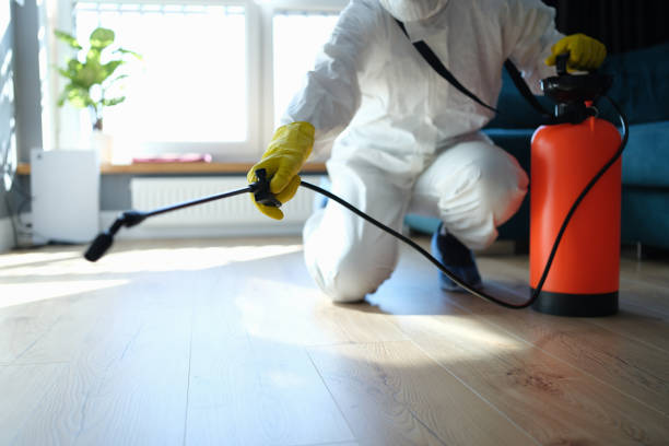 Best Pest Control Treatment  in Isanti, MN