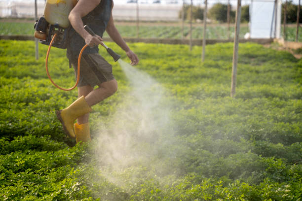 Best Pest Removal Services  in Isanti, MN
