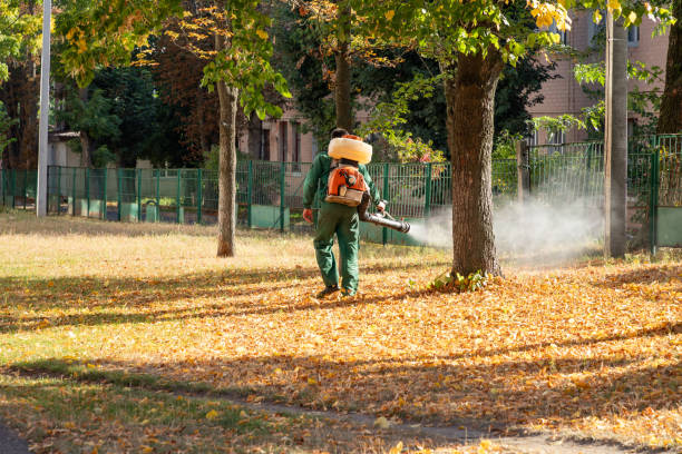 Best Best Pest Control Companies  in Isanti, MN