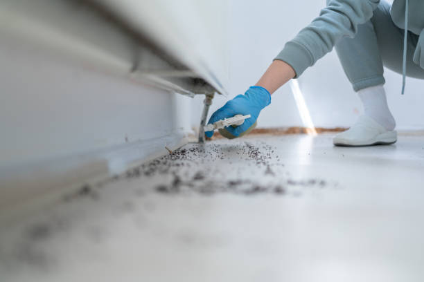Best Wildlife Control Services  in Isanti, MN