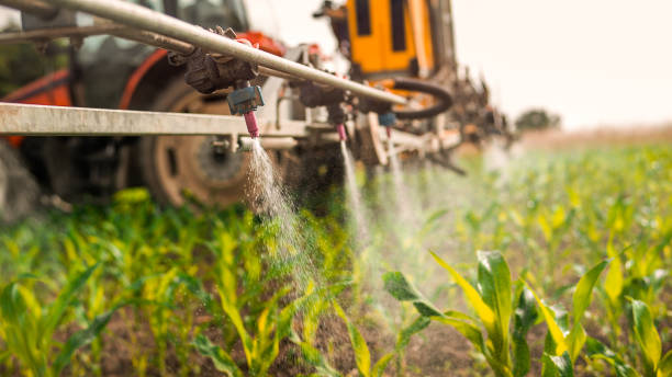 Best Ant Control Services  in Isanti, MN